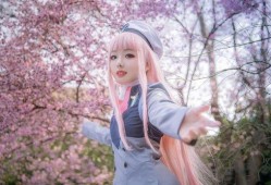 EX在线观看樱花,春意盎然，浪漫樱花盛宴